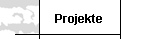 Projekte